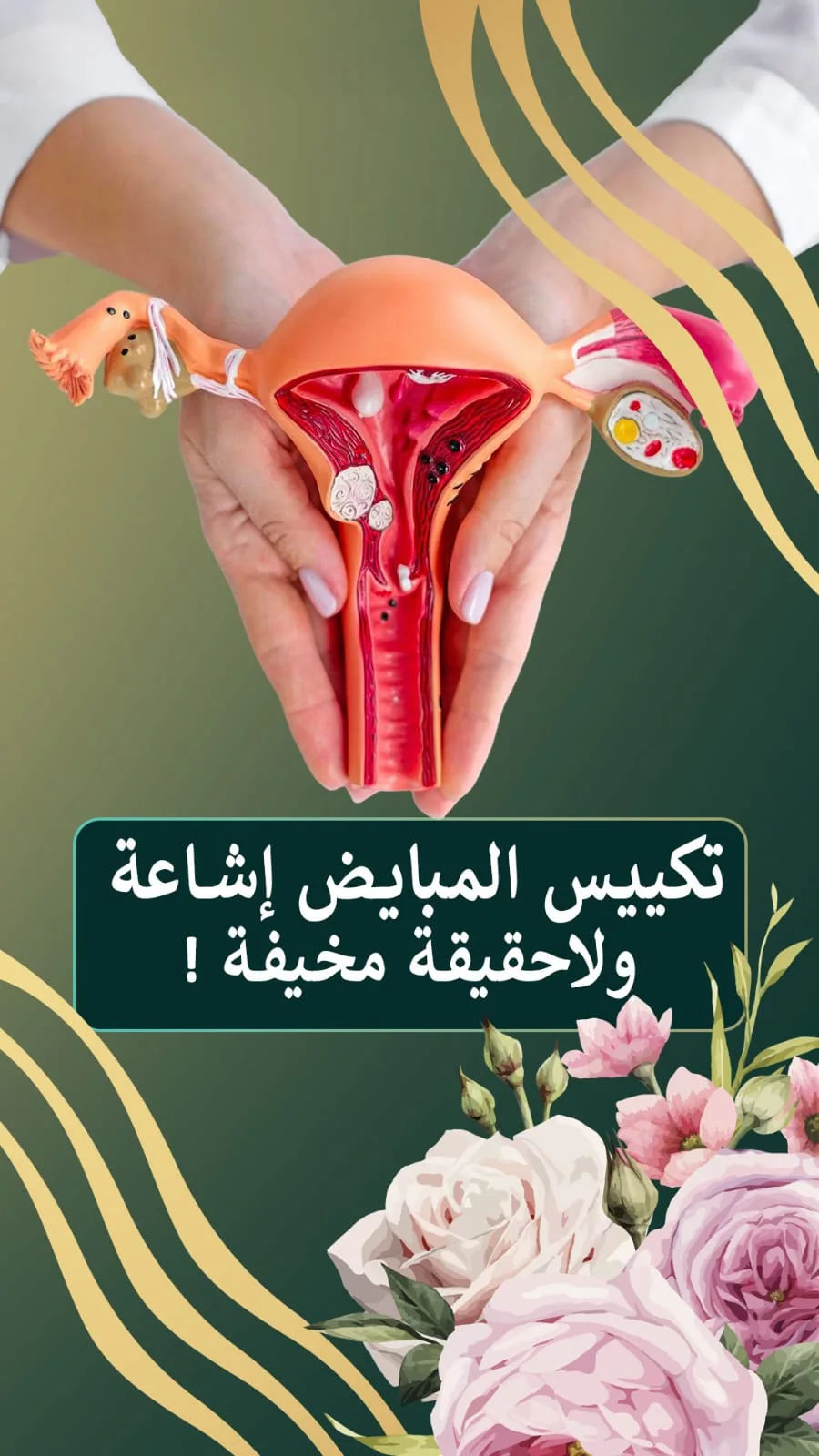 د. سمير القراعين: 12