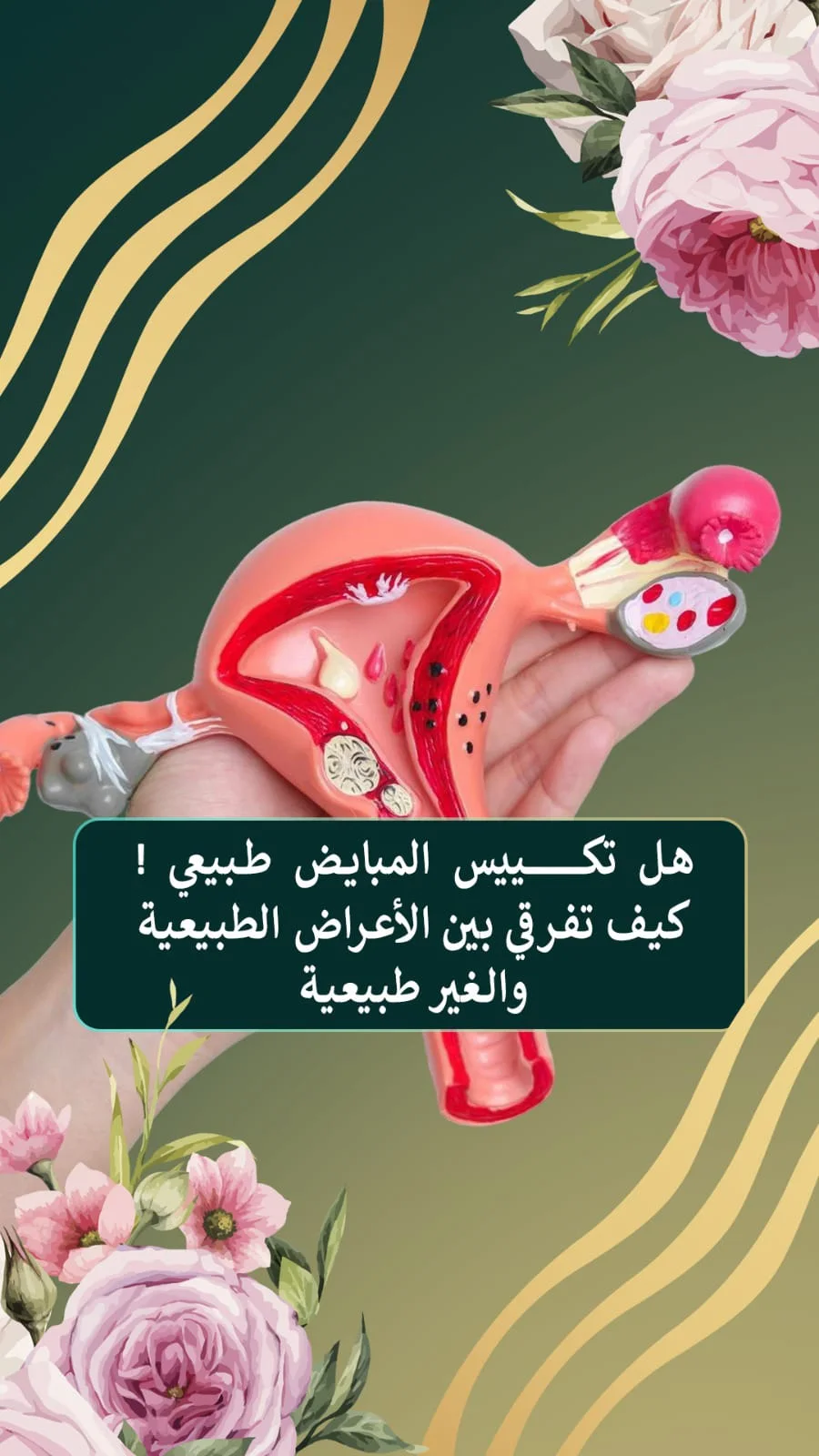 د. سمير القراعين: 19